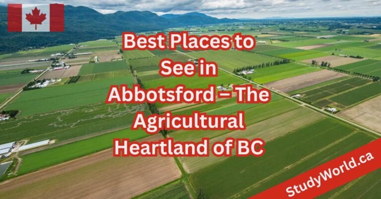Best Places to See in Abbotsford – The Agricultural Heartland of BC