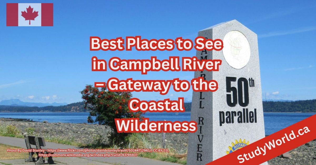 Best Places to See in Campbell River – Gateway to the Coastal Wilderness